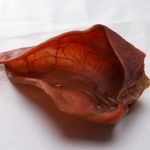 IMG_9187