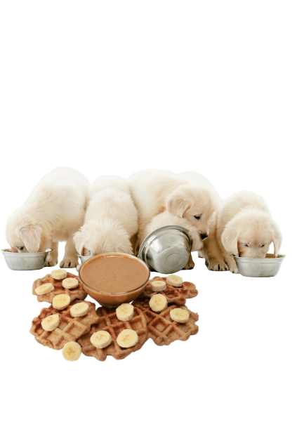 Untitled design - 2025-08-13T224652.712