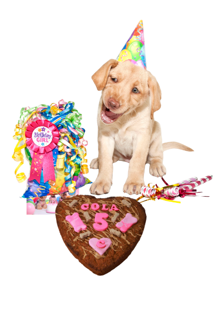 Untitled design - 2025-08-13T225940.518