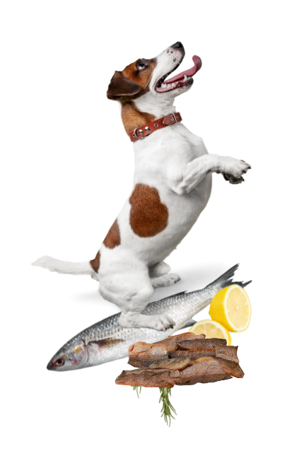 Untitled design - 2025-08-13T230242.651