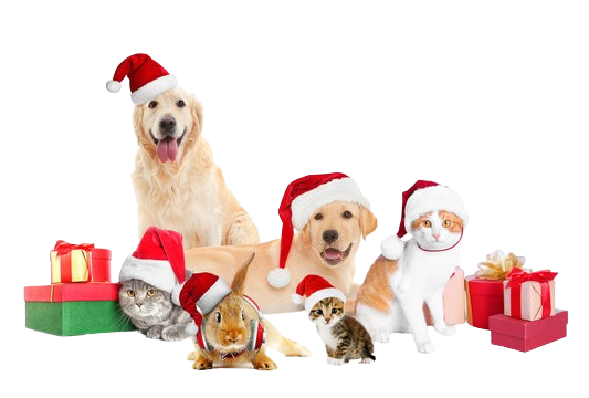 360_F_164667779_Fv7w0QEmLK3RRAfU3lyBdDgQmkJwg0Am__1_-removebg-preview