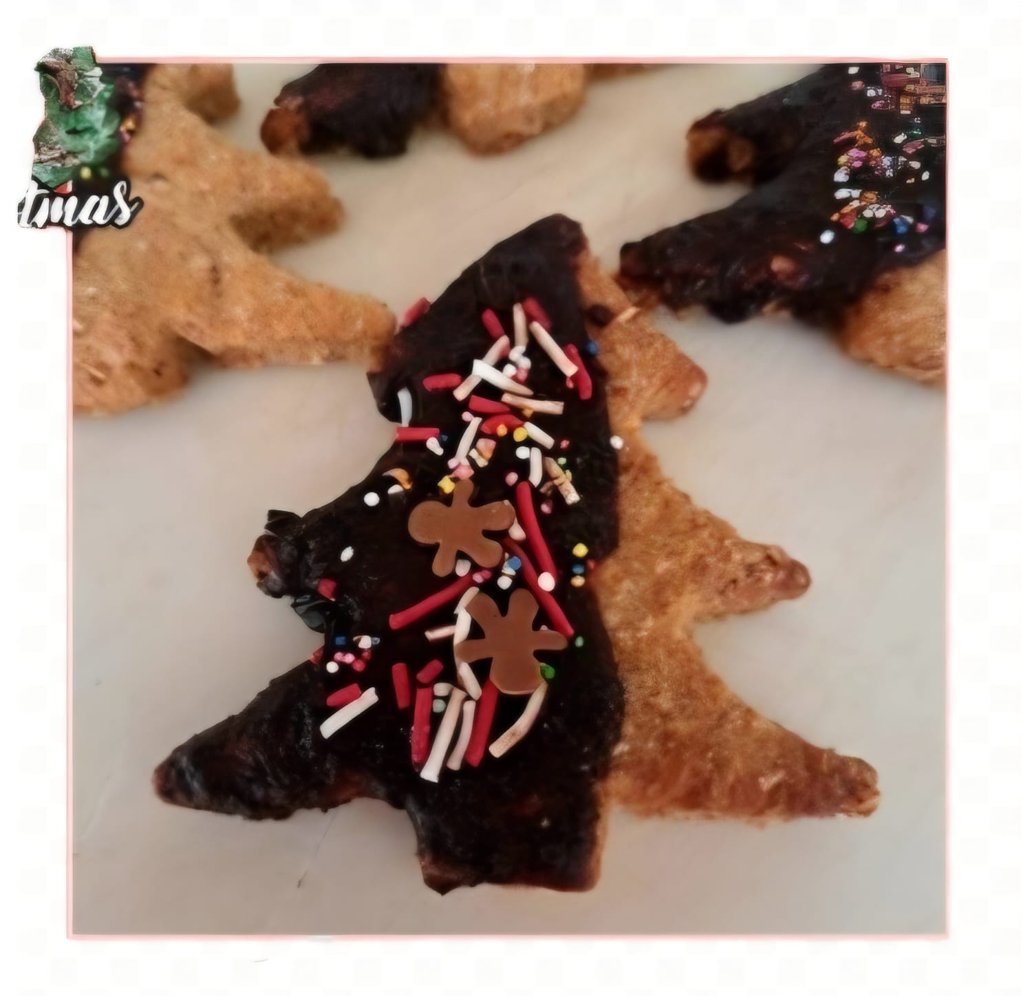 Large Christmas Tree Biscuit – Dipped in Carob